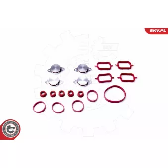 Jeu de joints d'étanchéité, collecteur d'admission ESEN SKV