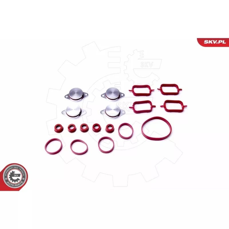 Jeu de joints d'étanchéité, collecteur d'admission ESEN SKV 96SKV053