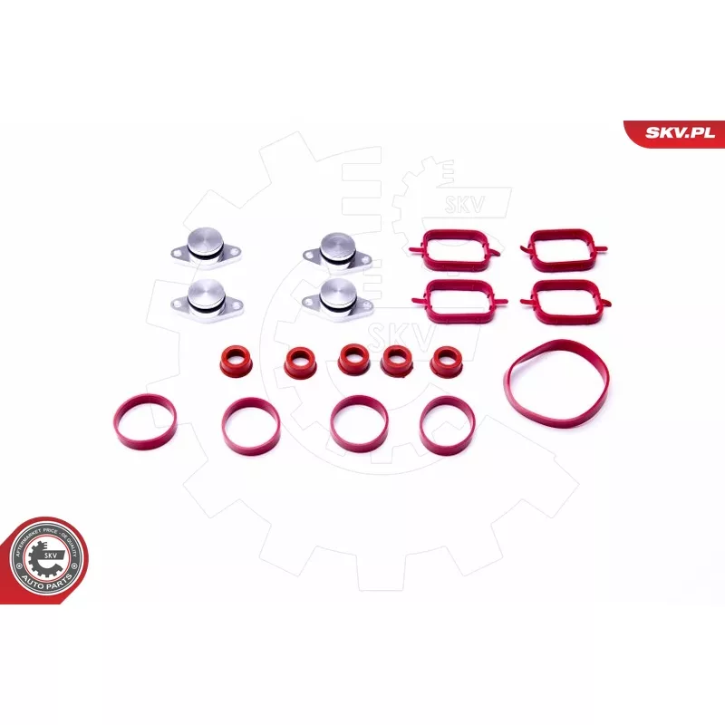 Jeu de joints d'étanchéité, collecteur d'admission ESEN SKV 96SKV054