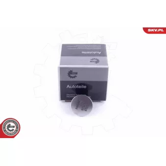 Interrupteur d'allumage/de démarreur ESEN SKV 96SKV135