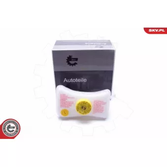Vase d'expansion, liquide de frein ESEN SKV 96SKV136