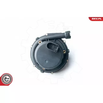 Pompe d'injection d'air secondaire ESEN SKV 96SKV201