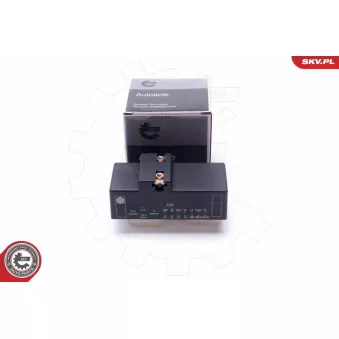 Commande, ventilateur électrique (refroidissement du moteur) ESEN SKV 96SKV203