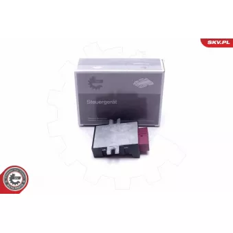 Dispositif de controle, pompe à carburant ESEN SKV 96SKV211