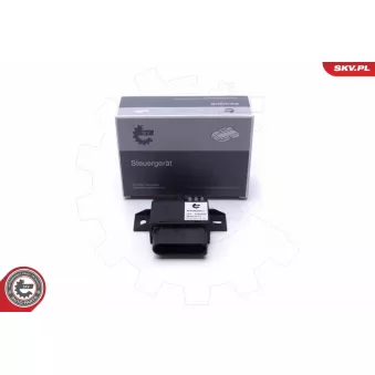 Dispositif de controle, pompe à carburant ESEN SKV 96SKV213