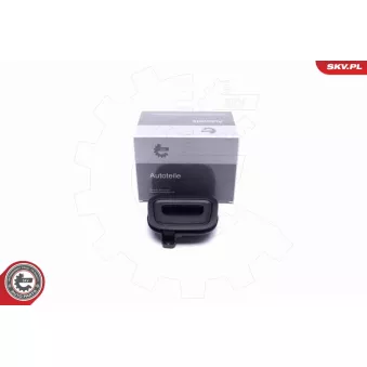 Poignée de coffre ESEN SKV 96SKV225