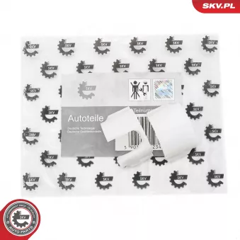 Kit de réparation, levier de vitesses ESEN SKV 96SKV281