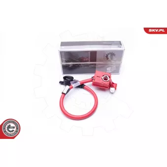 Adaptateur de batterie ESEN SKV 96SKV301