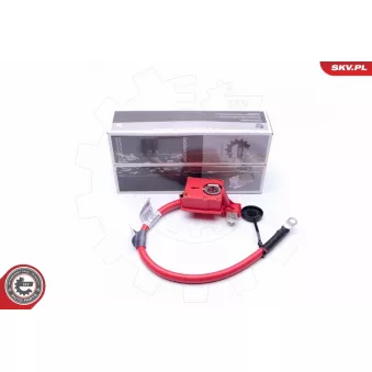 Adaptateur de batterie ESEN SKV 96SKV302