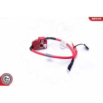 Adaptateur de batterie ESEN SKV 96SKV303