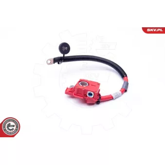 Adaptateur de batterie ESEN SKV 96SKV304