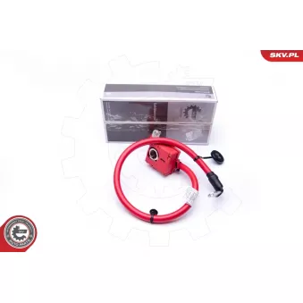 Adaptateur de batterie ESEN SKV 96SKV305