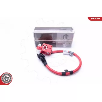 Adaptateur de batterie ESEN SKV 96SKV306