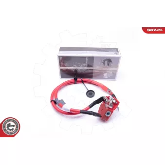 Adaptateur de batterie ESEN SKV 96SKV307