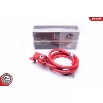 Adaptateur de batterie ESEN SKV 96SKV308