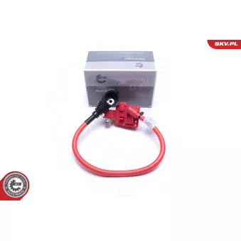 Adaptateur de batterie ESEN SKV 96SKV311