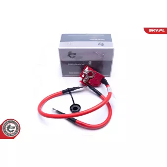 Adaptateur de batterie ESEN SKV 96SKV312