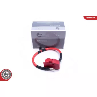 Adaptateur de batterie ESEN SKV 96SKV316