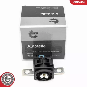 Capteur, Gestion des batteries ESEN SKV 96SKV329