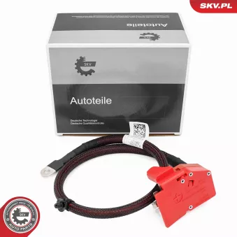 Adaptateur de batterie ESEN SKV 96SKV332