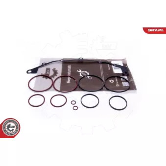 Kit de réparation, module de tube d'aspiration ESEN SKV 96SKV400