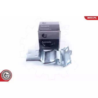 Charnière de porte ESEN SKV 96SKV761