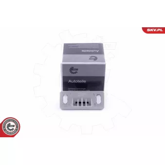 Guidage, bouton de verrouillage ESEN SKV 96SKV768