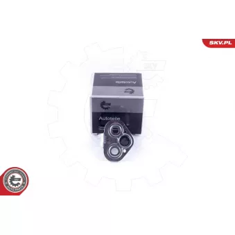 Cale-porte ESEN SKV 96SKV769