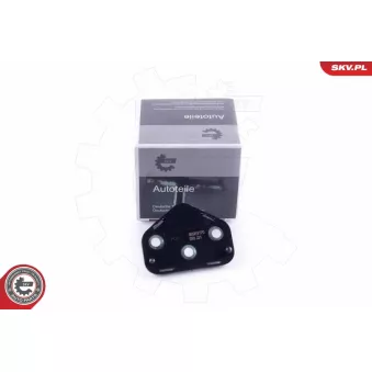 Cale-porte ESEN SKV 96SKV770