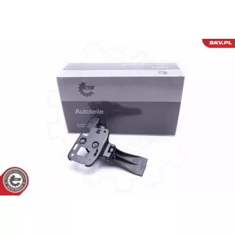 Bouton de verrouillage ESEN SKV 96SKV780