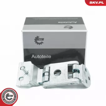 Charnière de porte ESEN SKV 96SKV810