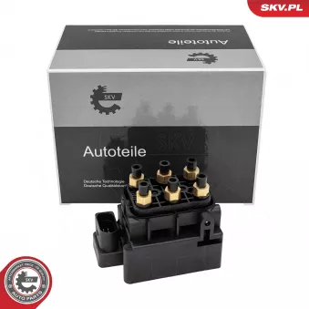 Valve, système d'air comprimé ESEN SKV 97SKV315