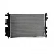 Radiateur, refroidissement du moteur NISSENS 607180 - Visuel 1