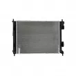 Radiateur, refroidissement du moteur NISSENS 607189 - Visuel 3