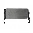 Radiateur, refroidissement du moteur NISSENS 607215 - Visuel 1