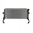 Radiateur, refroidissement du moteur NISSENS 607215 - Visuel 3