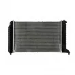 Radiateur, refroidissement du moteur NISSENS 69454 - Visuel 3