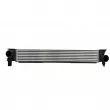 Intercooler, échangeur NISSENS 961315 - Visuel 1