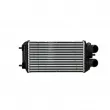 Intercooler, échangeur NISSENS 961318 - Visuel 1