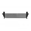Intercooler, échangeur NISSENS 961340 - Visuel 1
