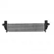 Intercooler, échangeur NISSENS 961340 - Visuel 3