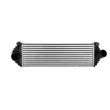 Intercooler, échangeur NISSENS 961409 - Visuel 1