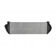 Intercooler, échangeur NISSENS 961409 - Visuel 3