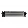 Intercooler, échangeur NISSENS 961771 - Visuel 1