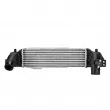 Intercooler, échangeur NISSENS 96226 - Visuel 1