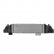Intercooler, échangeur NISSENS 96226 - Visuel 3