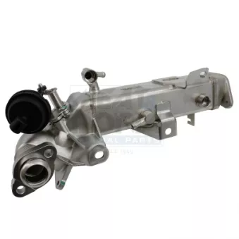 Module-EGR MEAT & DORIA