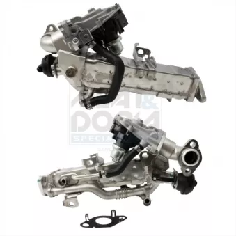 Module-EGR MEAT & DORIA