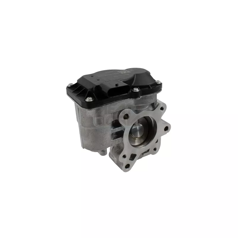 Vanne EGR MEAT & DORIA 88965