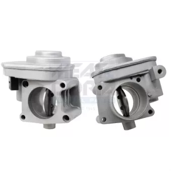 Corps papillon MEAT & DORIA